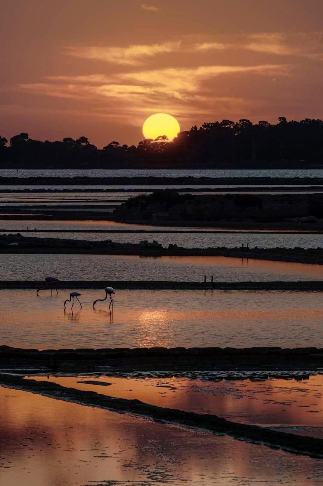 La Mimosa Case Vacanze Marsala Exteriér fotografie